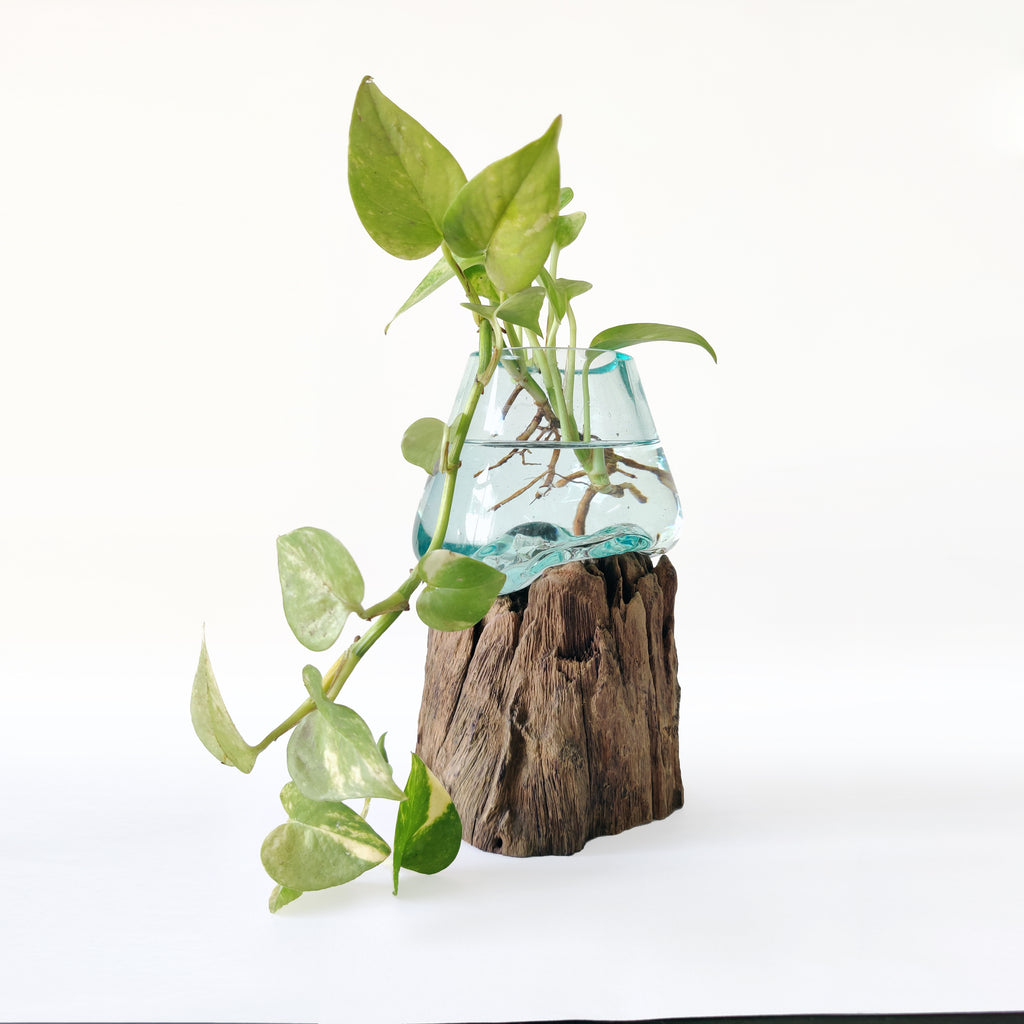 JIVA BOWLS - 1 x Pcs of 10cm  - Money Plant holder / Candle stand / Succulent holder / Potpourri / Console table décor. - Sculptree