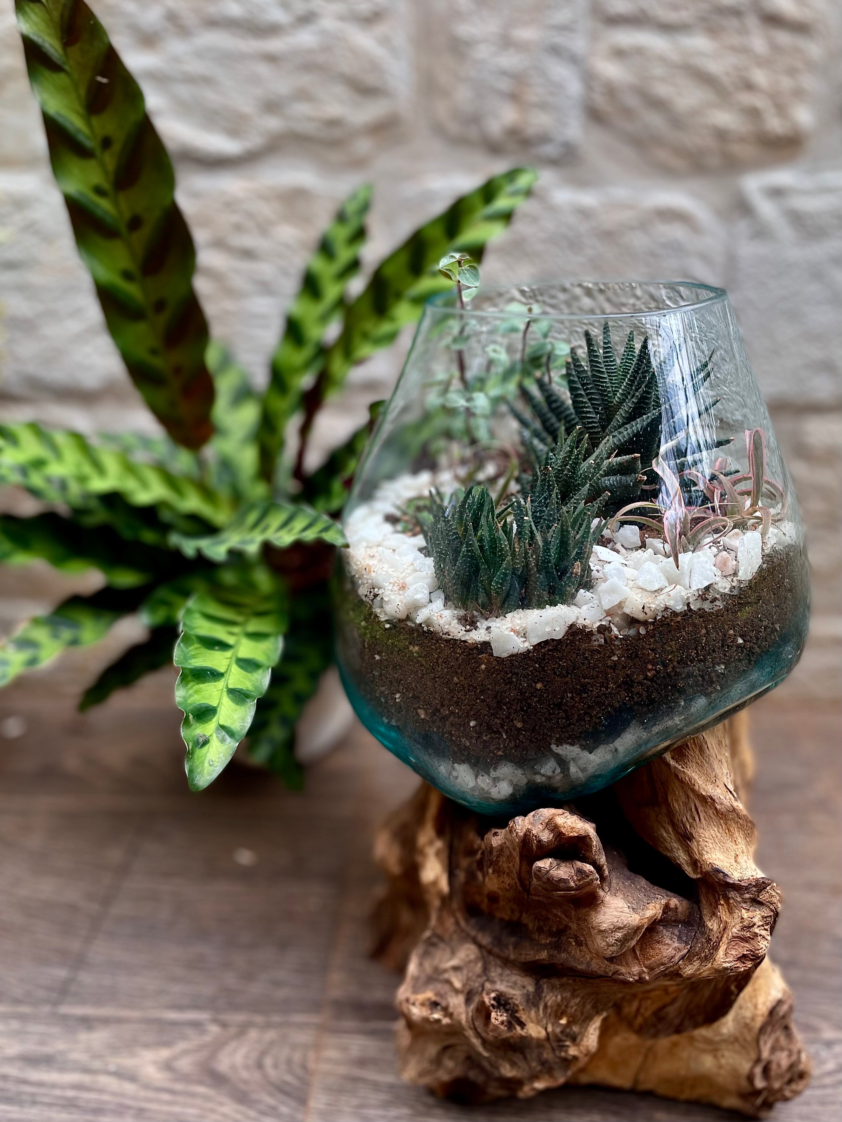 JIVA BOWLS - 20cm - Glass vase / Terrarium / Candle holder / Crystal holder / Flower vase/ Fish tank / Bonsai planter / coffee table décor. - Sculptree