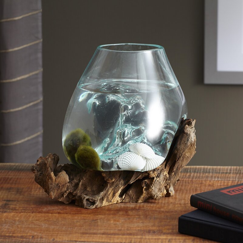 JIVA BOWLS - 40cm - Glass vase / Terrarium / Mini home Garden / Aquarium / Outdoor accent piece. - Sculptree
