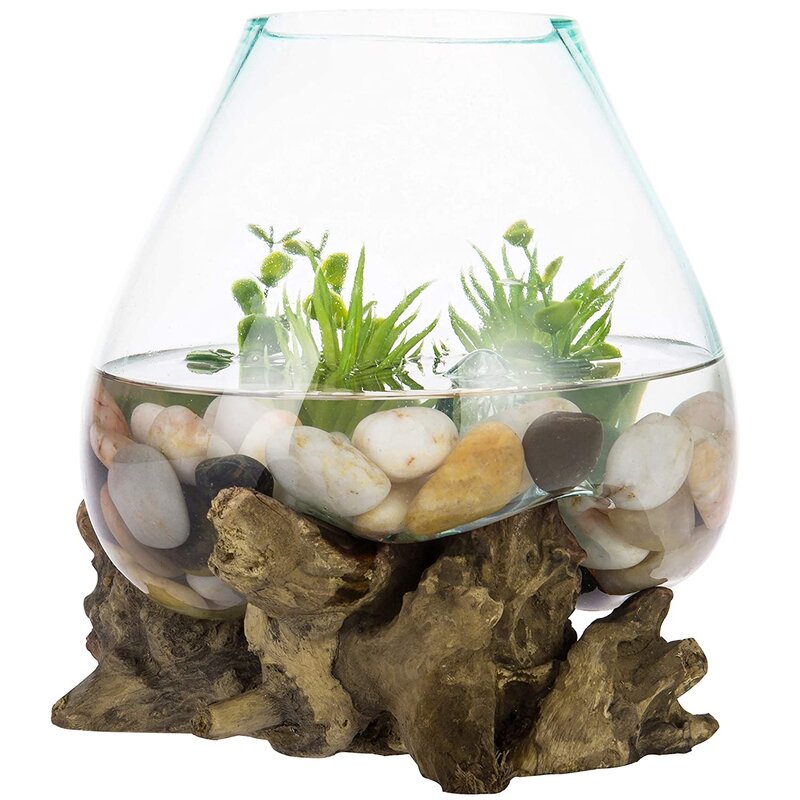 JIVA BOWLS - 25cm - Glass vase / Terrarium / Crystal Holder / Flower vase / Floating candle / Bonsai Planter/ Fish tank / coffee table decor. - Sculptree